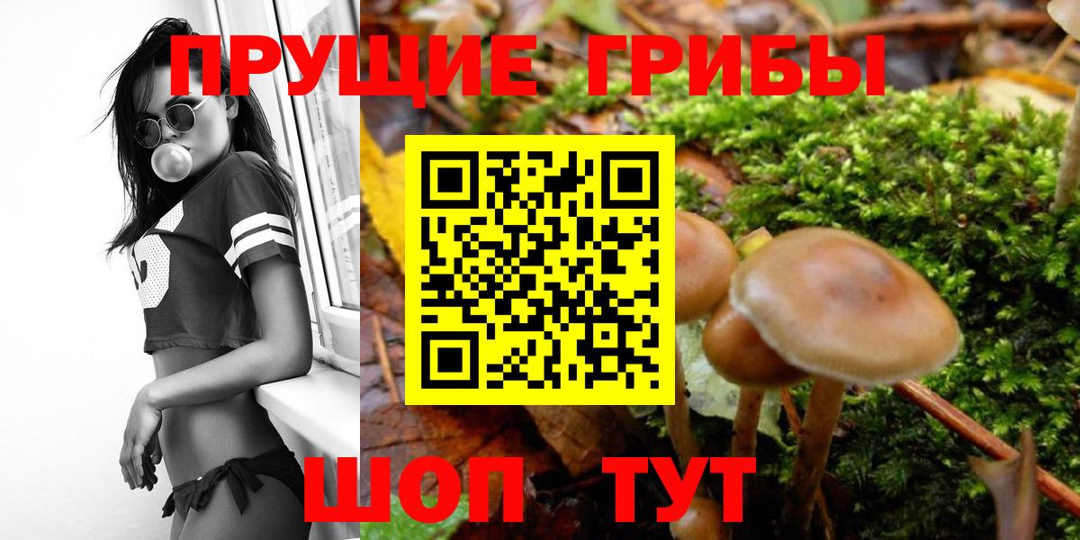 Псилоцибиновые грибы ЛСД Сергиев Посад